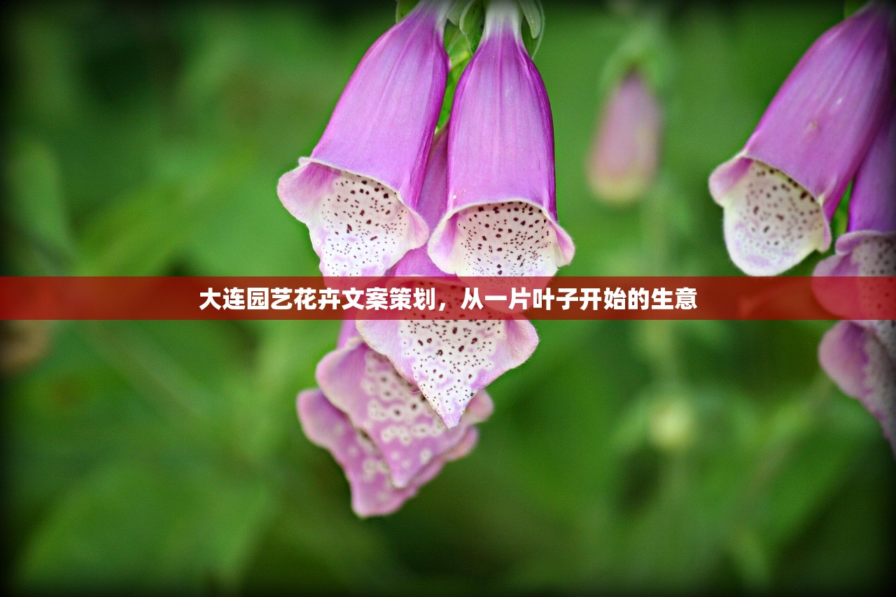 大连园艺花卉文案策划,从一片叶子开始的生意 大连园艺花卉文案策划,从一片叶子开始的生意