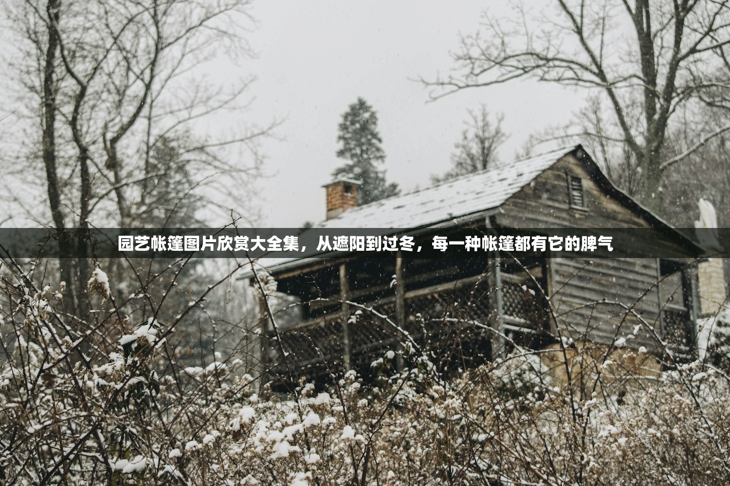 园艺帐篷图片欣赏大全集,从遮阳到过冬,每一种帐篷都有它的脾气 园艺帐篷图片欣赏大全集,从遮阳到过冬,每一种帐篷都有它的脾气