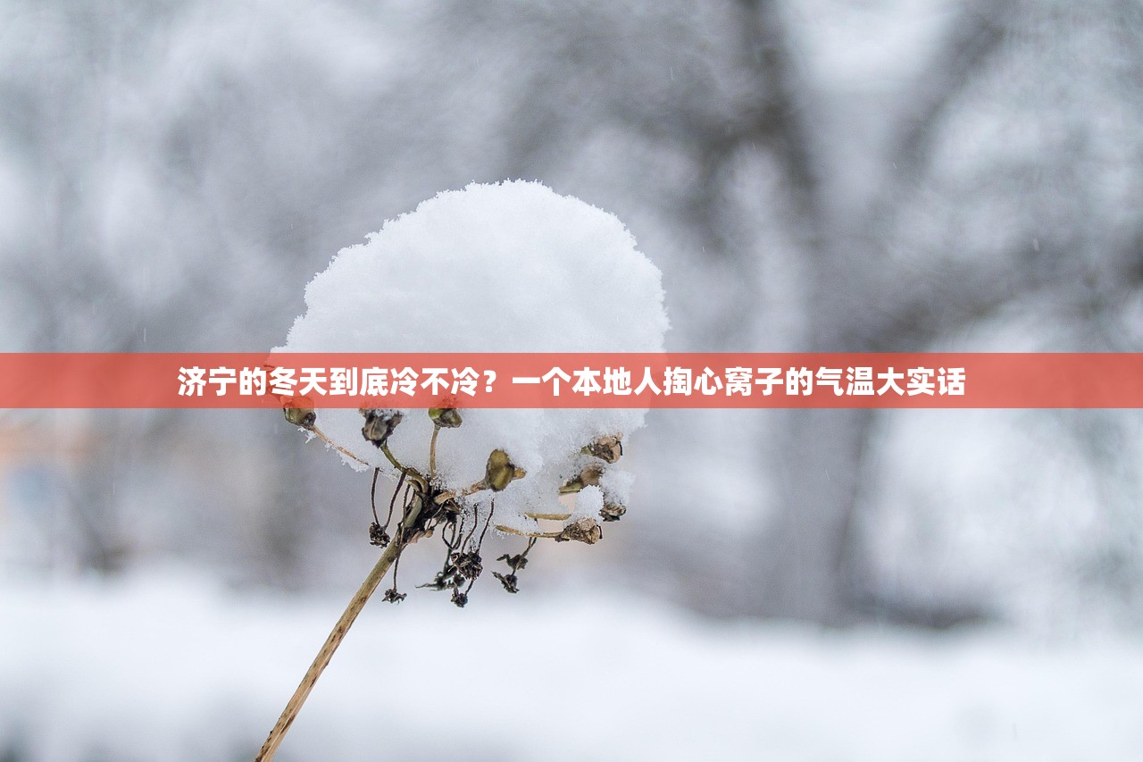 济宁的冬天到底冷不冷?一个本地人掏心窝子的气温大实话 济宁的冬天到底冷不冷?一个本地人掏心窝子的气温大实话