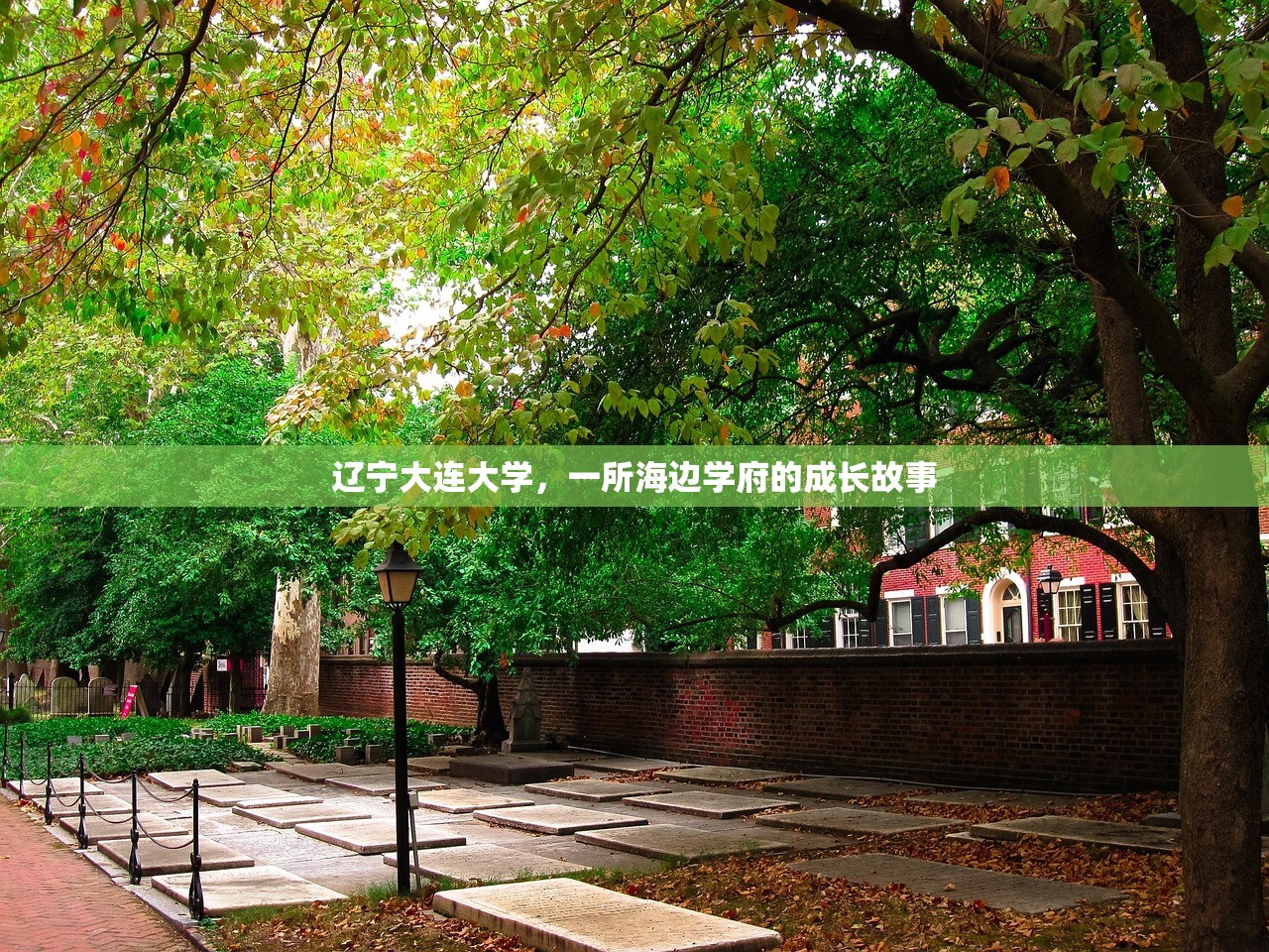 辽宁大连大学,一所海边学府的成长故事 辽宁大连大学,一所海边学府的成长故事